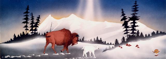 The phenomenal birth of something so rare, the birth of a white buffalo calf, has great spiritual meaning in some Native American cultures. To those who believe, the birth of the white calf is a prophecy come true.